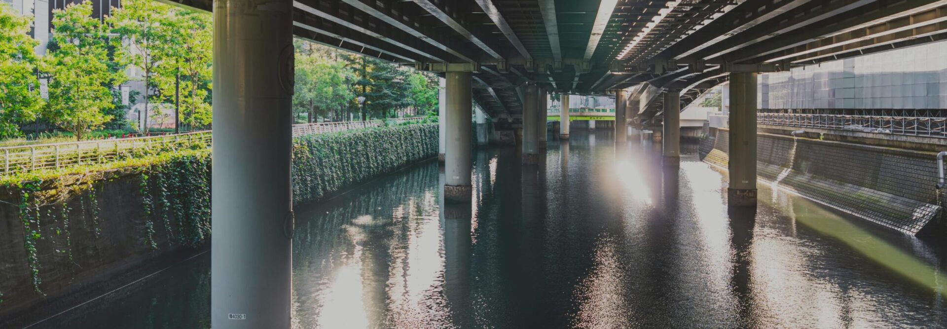 Drainage & Flood <br> Protection Planning